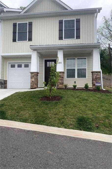 Newly Built Townhome Close To The Asheville Sites Candler Exteriér fotografie