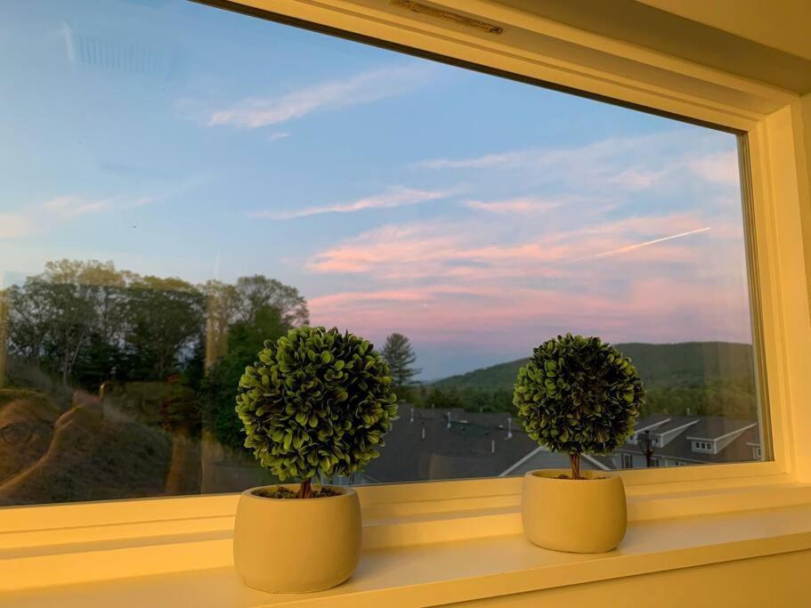Newly Built Townhome Close To The Asheville Sites Candler Exteriér fotografie